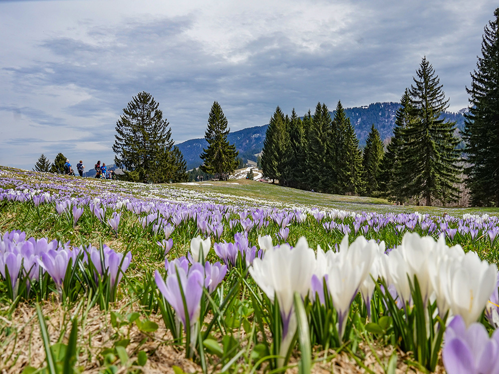 Hündle Wanderung Frau Bergschön